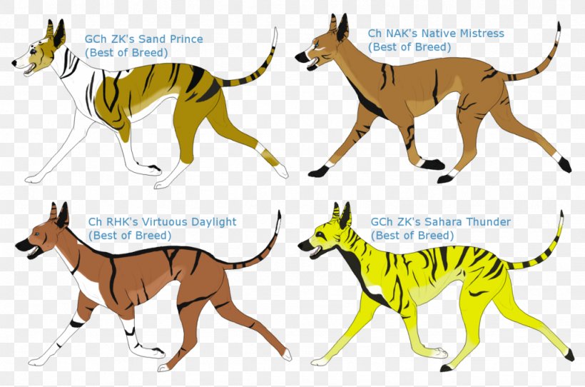 Dog Breed Whippet Dingo Cat Animal, PNG, 1024x677px, Dog Breed, Animal, Animal Figure, Big Cat, Big Cats Download Free