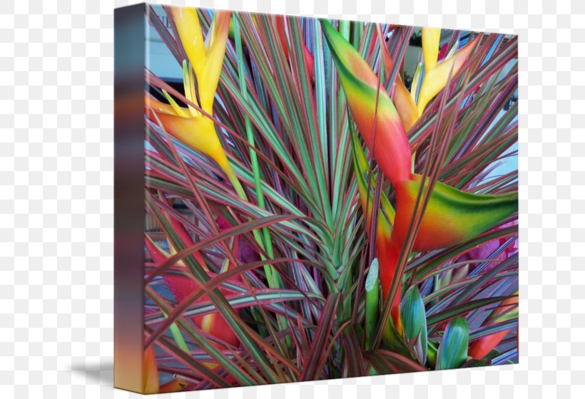 Modern Art Flower Modern Architecture Grasses, PNG, 650x560px, Modern Art, Art, Family, Feather, Flower Download Free