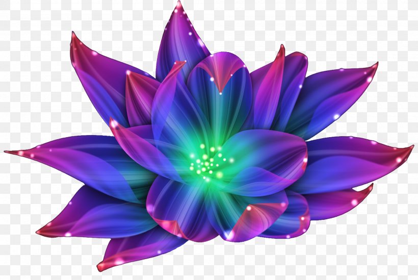 Pygmy Water-lily Nymphaea Lotus Flower Nelumbo Nucifera, PNG, 2000x1341px, Pygmy Waterlily, Aquatic Plant, Flora, Flower, Flowering Plant Download Free