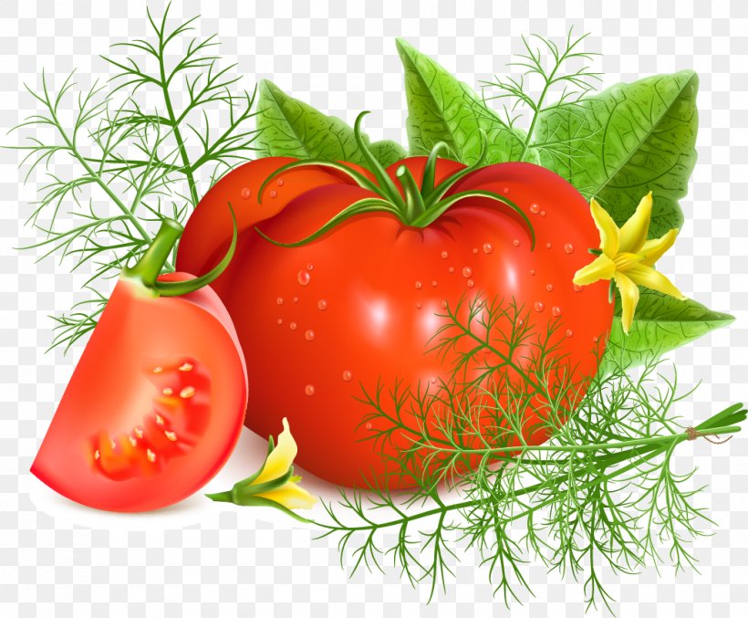 Tomato Soup, PNG, 1044x862px, Tomato Soup, Bush Tomato, Diet Food, Food, Fruit Download Free