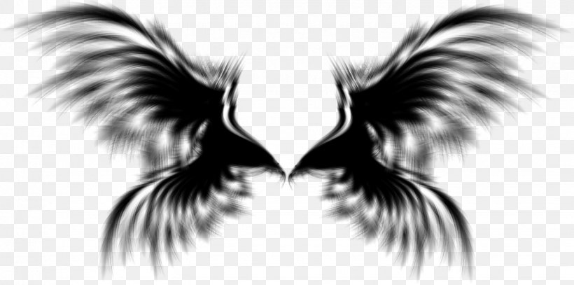 Wing Angel, PNG, 1544x768px, Wing, Angel, Angel Wing, Beak, Bird Download Free