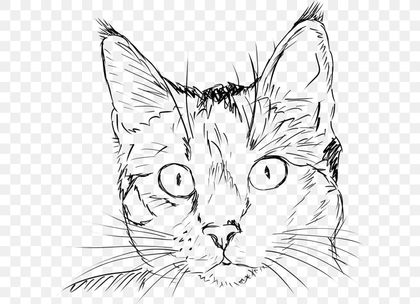 Cat Drawing Sketch Line Art Kitten, PNG, 600x593px, Cat, Art, Artwork, Asian, Black Cat Download Free