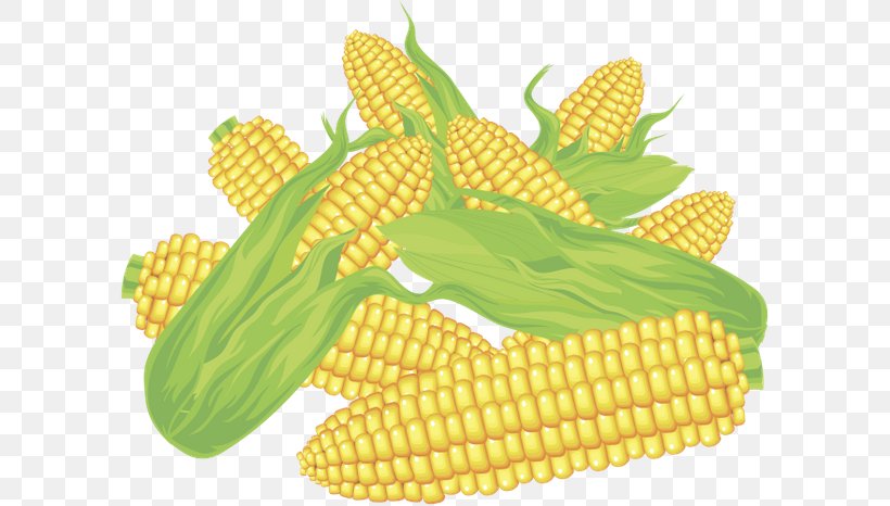 Corn On The Cob Maize Sweet Corn, PNG, 600x466px, Corn On The Cob, Art, Cereal, Commodity, Corn Kernels Download Free