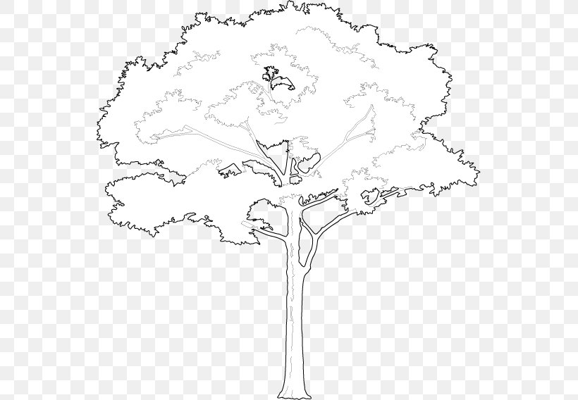 /m/02csf Floral Design Line Art Drawing, PNG, 545x568px, Floral Design, Area, Artwork, Black And White, Branch Download Free