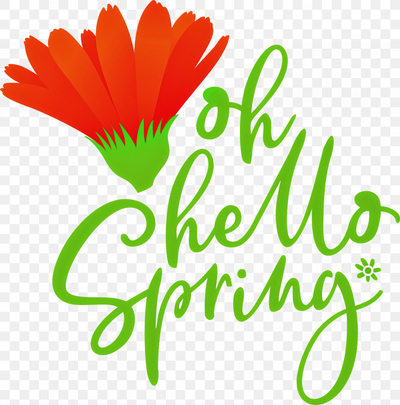 Oh Hello Spring Hello Spring Spring, PNG, 2957x3000px, Hello Spring, Cut Flowers, Daisy Family, Flower, Grasses Download Free