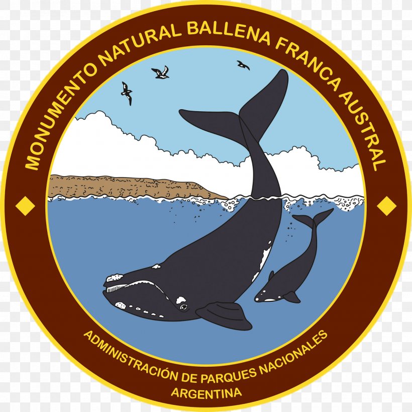 Campo De Los Alisos National Park Marine Mammal Southern Right Whale Baritú National Park Laguna De Los Pozuelos, PNG, 1600x1600px, Marine Mammal, Argentina, Balaenidae, Brand, Cetaceans Download Free