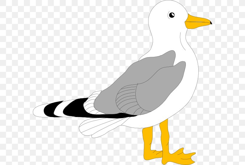 Gulls Free Content Clip Art, PNG, 600x551px, Gulls, Art, Beak, Bird, Black And White Download Free