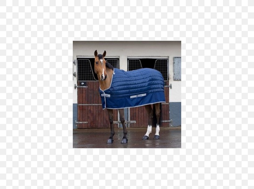 Horse Blanket Surcingle Quilt, PNG, 610x610px, Horse Blanket, Adams Horse And Pet Supplies Inc, Bed Sheets, Blanket, Blue Download Free