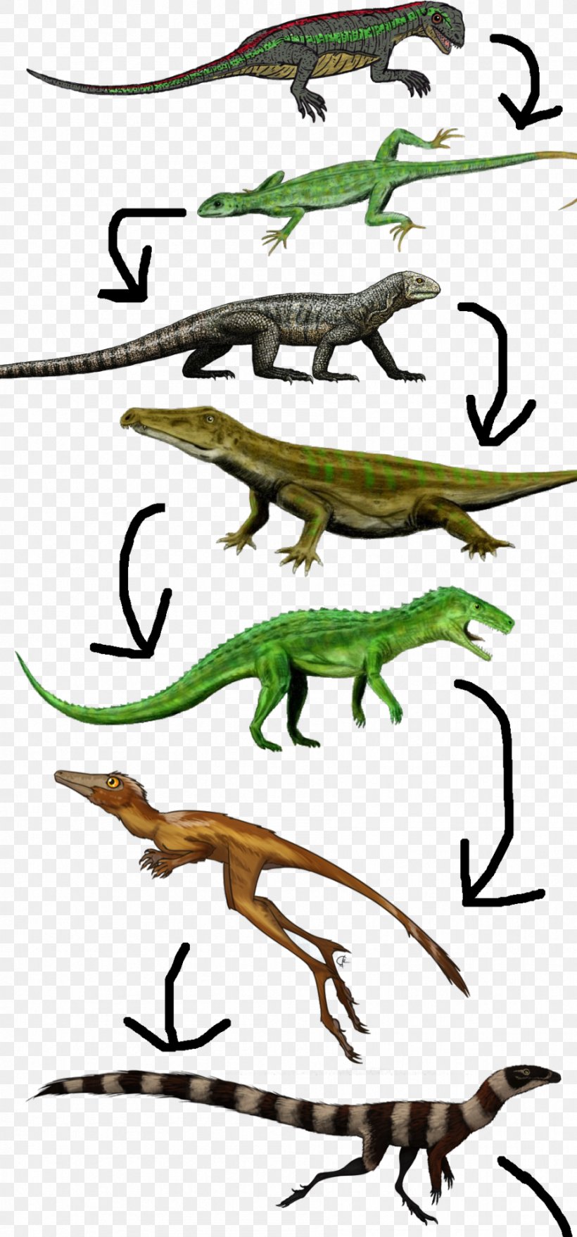 Lizard Clip Art Illustration Amphibians Fauna, PNG, 896x1920px, Lizard, Amphibian, Amphibians, Area, Artwork Download Free