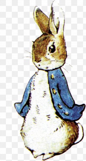 Peter Rabbit Images, Peter Rabbit Transparent PNG, Free download