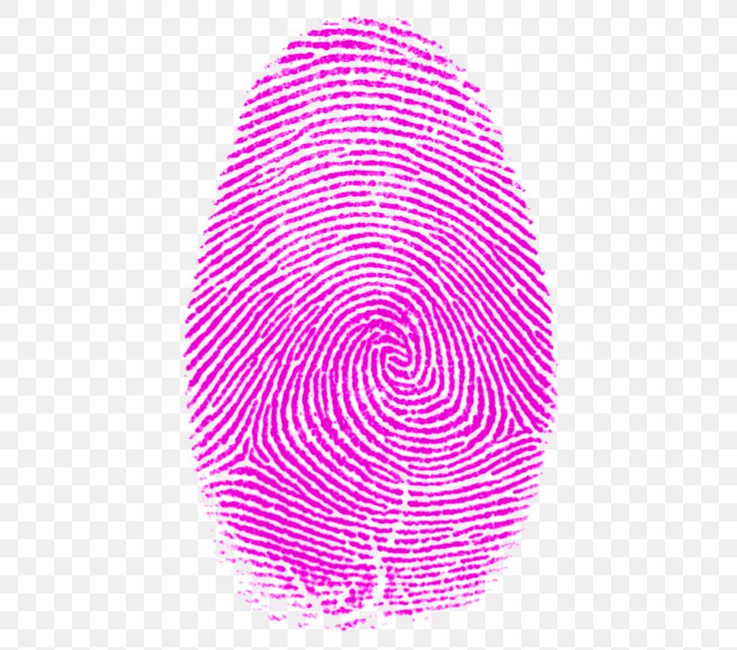 Fingerprint The Origin Of Finger-printing Thumb Fibonacci Number, PNG, 500x723px, Fingerprint, Detective, Fibonacci Number, Finger, Forensic Science Download Free