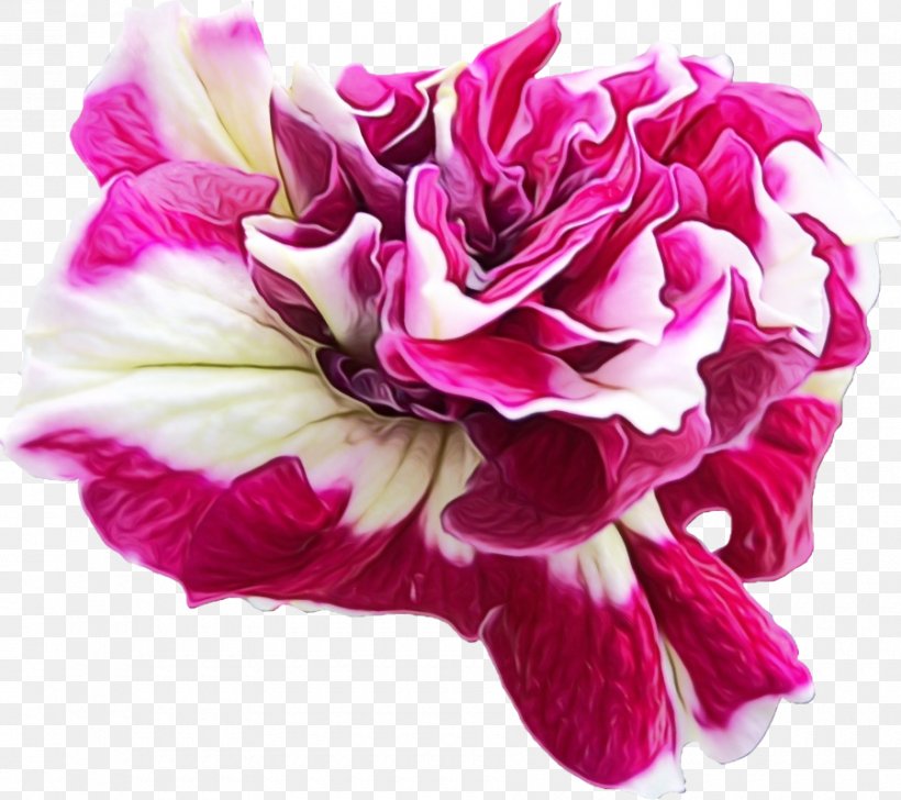Garden Roses Cabbage Rose Cut Flowers Floral Design, PNG, 900x800px, Garden Roses, Annual Plant, Artificial Flower, Bouquet, Cabbage Rose Download Free