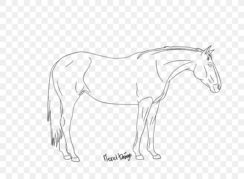 Mule Pony Line Art Mustang Sketch, PNG, 700x600px, Mule, Animal Figure, Arm, Art, Artwork Download Free