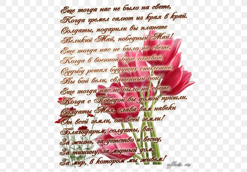 Victory Day Text Verse Holiday Garden Roses, PNG, 500x571px, Victory Day, Cut Flowers, Flora, Floral Design, Flower Download Free
