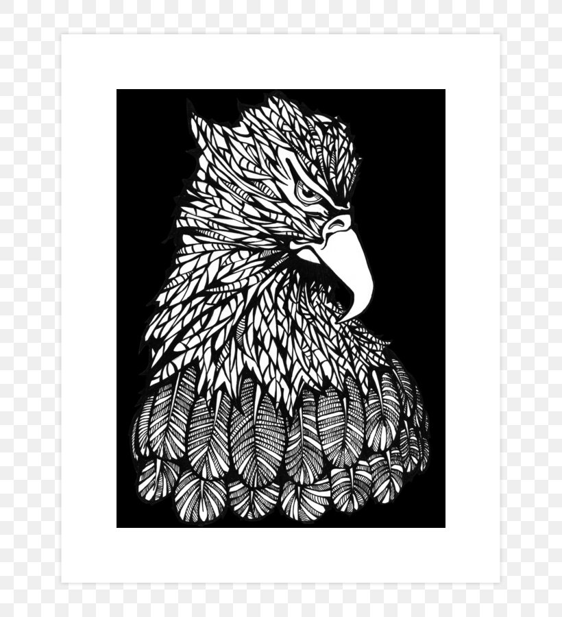 Beak Bald Eagle United States Bird Hoodie, PNG, 740x900px, Beak, Bald Eagle, Bird, Bird Of Prey, Black And White Download Free