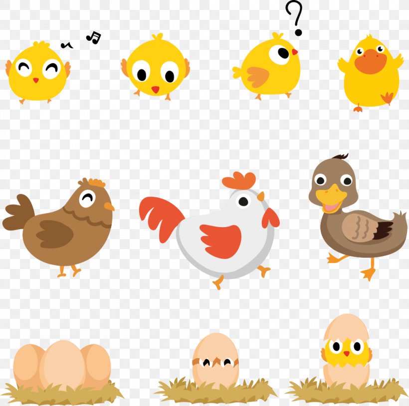 Chicken Bird Euclidean Vector Duck Animal, PNG, 1000x994px, Chicken, Animal, Beak, Bird, Bird Egg Download Free