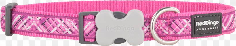 Dog Collar Dingo Dog Harness, PNG, 3000x587px, Dog, Audio, Brand, Clothing Accessories, Collar Download Free