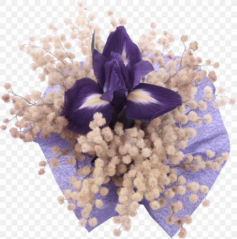 Lavender, PNG, 1586x1600px, Violet, Cut Flowers, Delphinium, Dendrobium, Flower Download Free