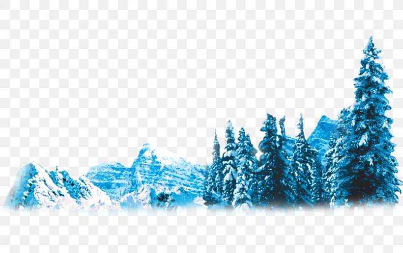 Pine Fir Winter Iceberg, PNG, 953x600px, Pine, Aqua, Blue, Fir, Ice Download Free