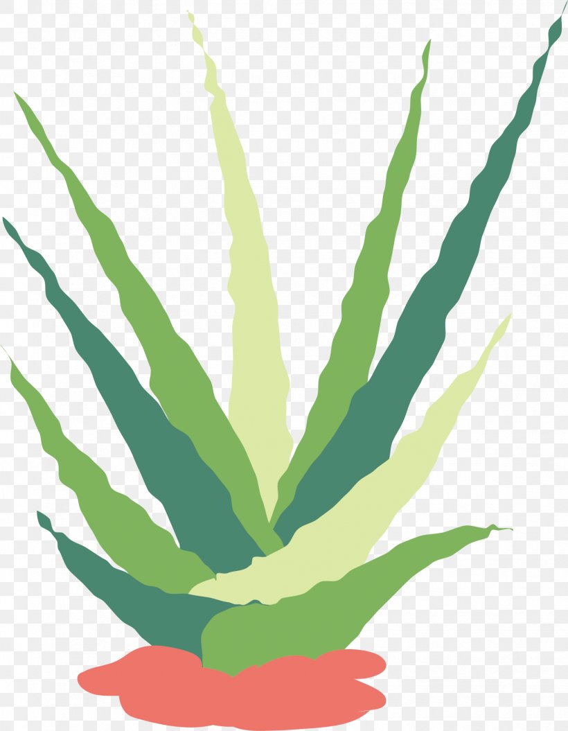 Cactaceae Succulent Plant Flat Design Euclidean Vector, PNG, 1444x1859px, Cactaceae, Agave, Aloe, Flat Design, Flowering Plant Download Free