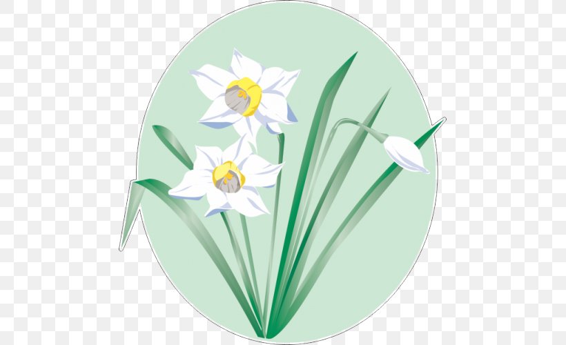Daffodil Vector Graphics Flower Clip Art Image, PNG, 500x500px, Daffodil, Cdr, Flora, Floral Design, Floristry Download Free