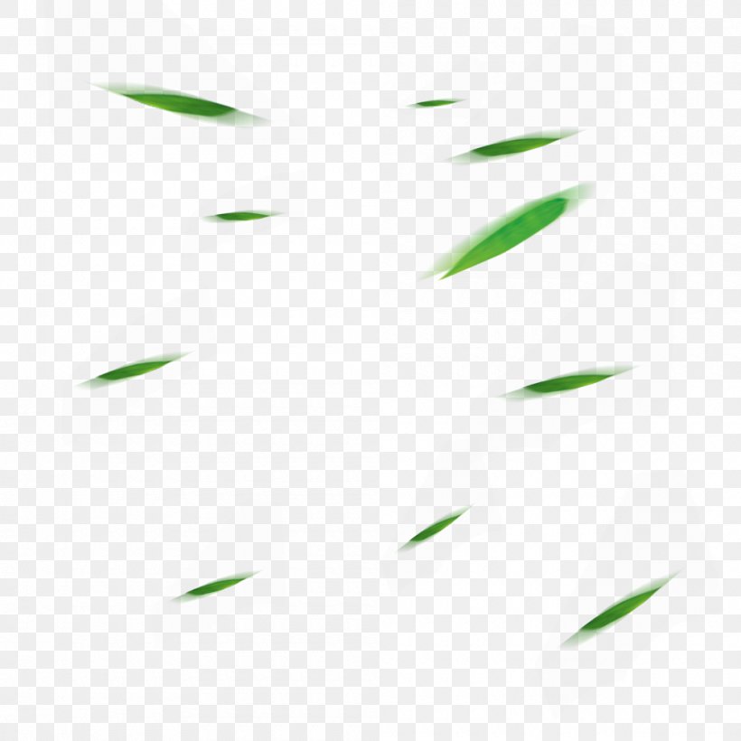 Leaf Angle Pattern, PNG, 1000x1000px, Leaf, Grass, Green, Point, Rectangle Download Free