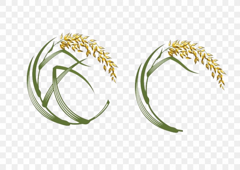 Sushi Rice Japanese Cuisine Oryza Sativa, PNG, 841x595px, Sushi, Body Jewelry, Brand, Caryopsis, Crop Download Free