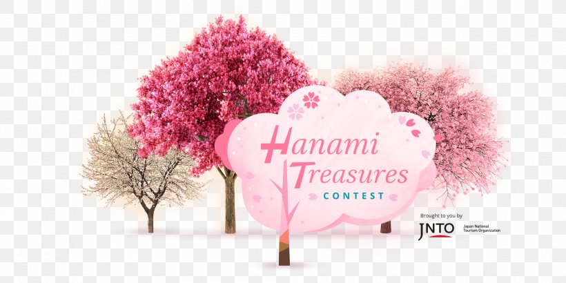 Japanese Hanami Experience Desktop Wallpaper, PNG, 1906x954px, Japan, Brand, Competition, Computer, Flower Download Free
