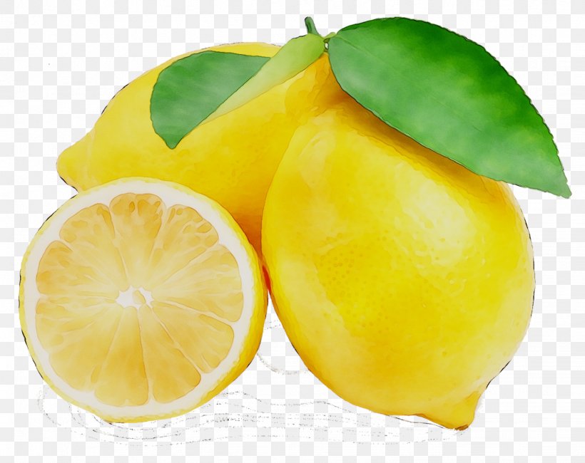 Lemon Key Lime Citron Rangpur, PNG, 1431x1136px, Lemon, Citric Acid, Citron, Citrus, Flowering Plant Download Free