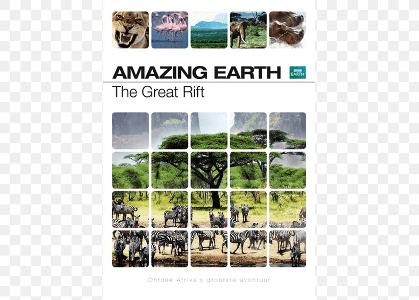 BBC Earth BBC Earth Blu-ray Disc Yellowstone National Park, PNG, 786x587px, Earth, Bbc, Bbc Earth, Bluray Disc, Bolcom Download Free