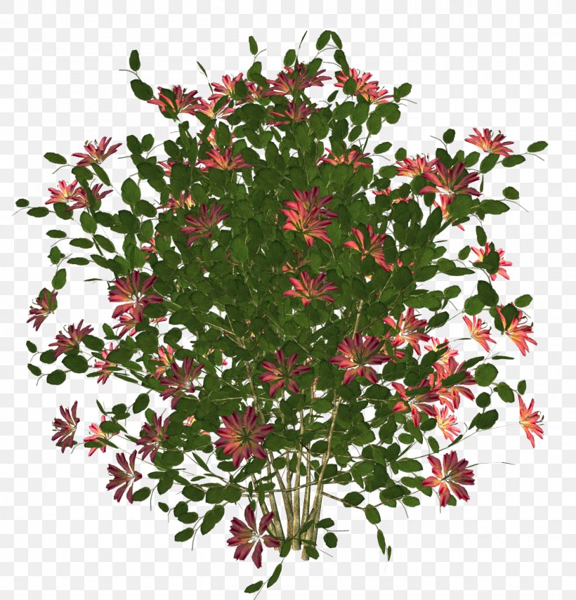 Flower 3D Rendering Stock Photography, PNG, 1407x1467px, 3d Rendering, Flower, Dots Per Inch, Flora, Flowering Plant Download Free