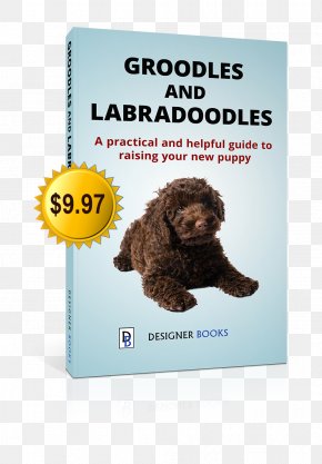 Puppy - Irish Water Spaniel Spanish Water Dog Puppy Bed Sheets Dog Breed PNG