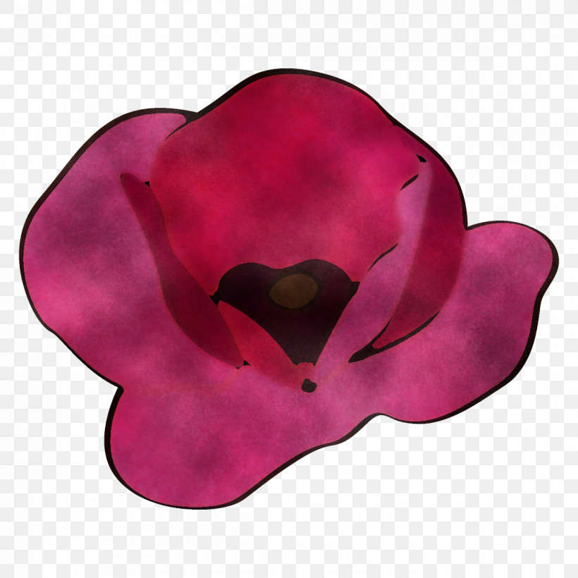 Poppy Flower, PNG, 1200x1200px, Poppy Flower, Cap, Flower, Hat, Headgear Download Free