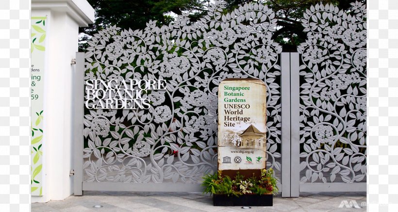 Singapore Botanical Garden Tree, PNG, 991x529px, Singapore, Botanical Garden, Flora, Garden, Tree Download Free
