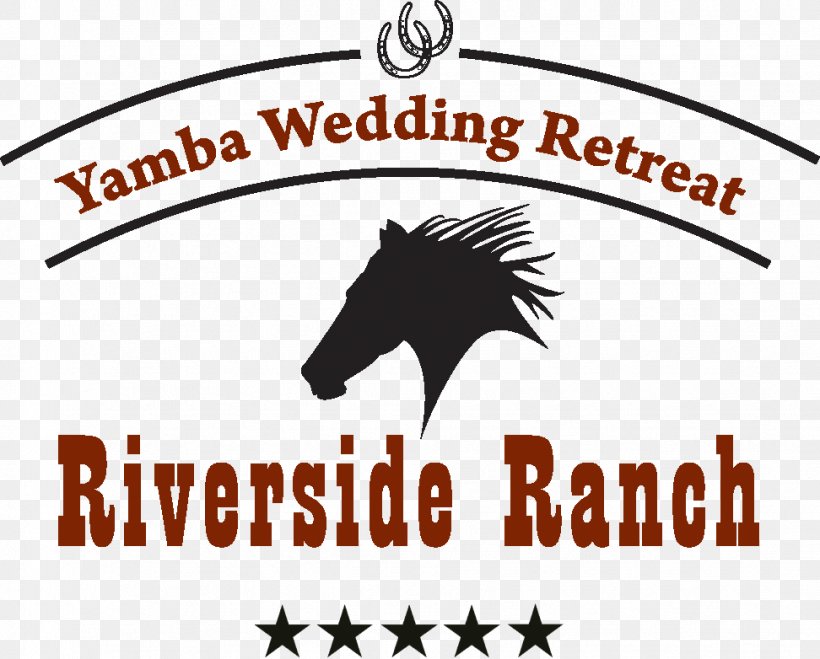 Yamba Weddings Mustang Wedding Reception Yamba Shores Tavern, PNG, 972x782px, Wedding, Area, Artwork, Black And White, Brand Download Free