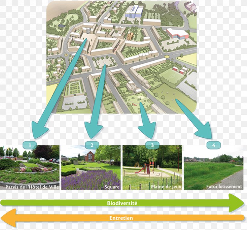 Sustainable Gardening Open Space Reserve Comparison And Contrast Of Classification Schemes In Linguistics And Metadata Public Space, PNG, 827x769px, Sustainable Gardening, City, Energy, Garden, Grass Download Free
