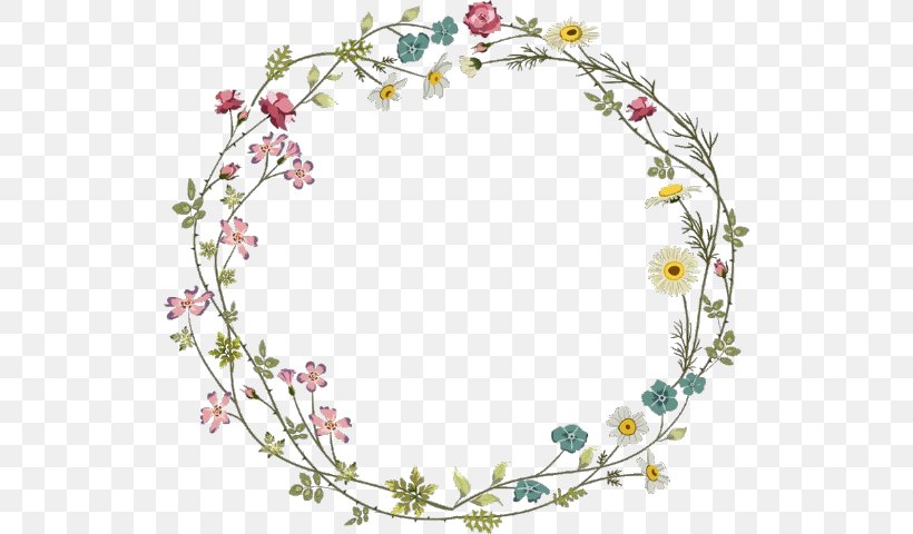 Borders And Frames Clip Art Flower Image Circle, PNG, 526x480px, Borders And Frames, Blossom, Body Jewelry, Border, Branch Download Free