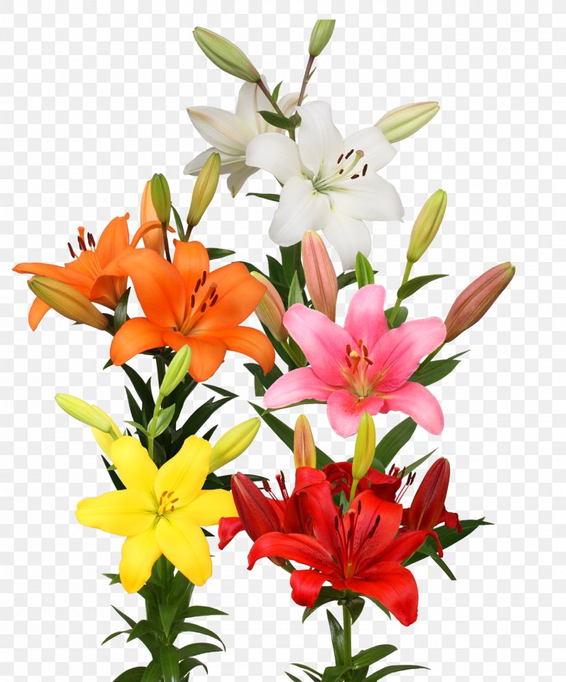 Cut Flowers Floral Design Floristry Flower Bouquet, PNG, 1473x1777px, Flower, Annual Plant, Cut Flowers, Family, Floral Design Download Free