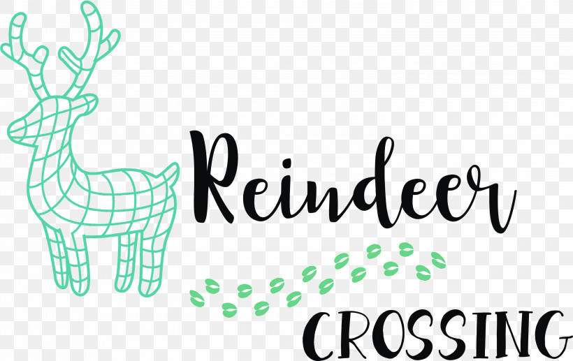 Reindeer, PNG, 3000x1892px, Reindeer Crossing, Jingle, Logo, Meowy Christmas, Paint Download Free