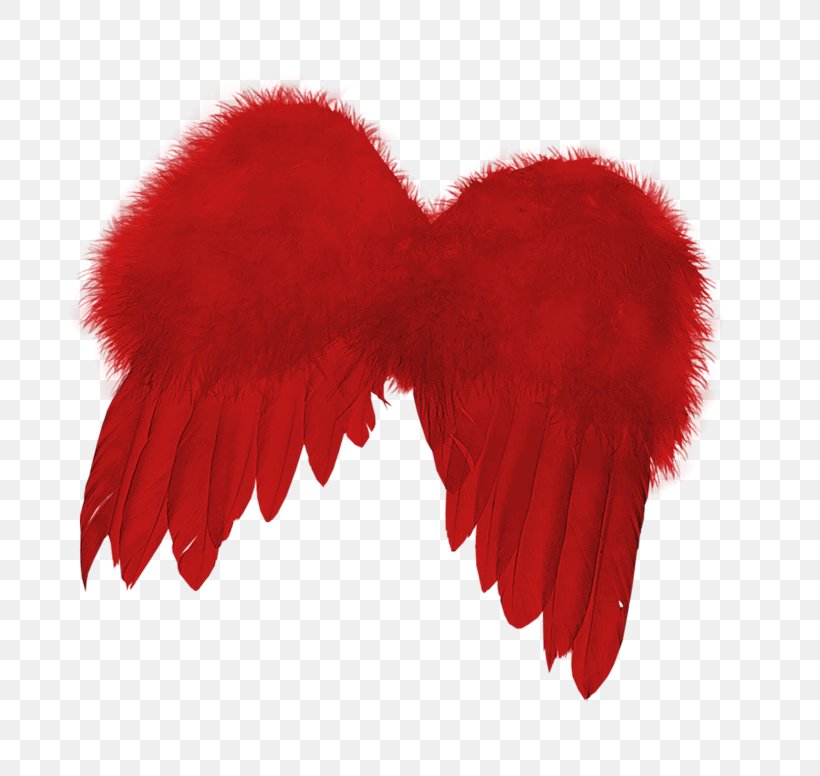 Wing Clip Art, PNG, 800x776px, Wing, Angel Wing, Blog, Drawing, Feather Download Free