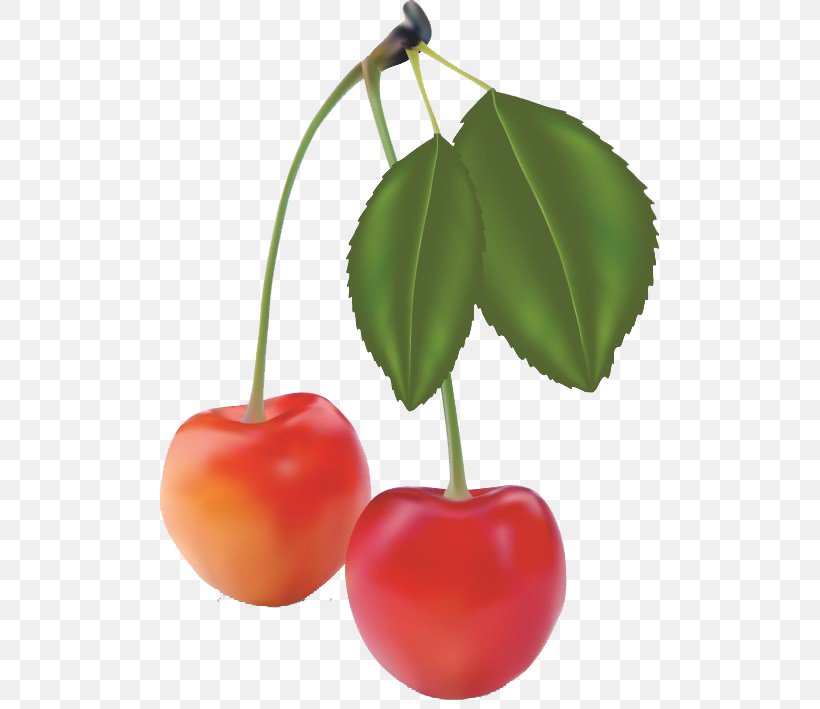 Fruit Realism, PNG, 499x709px, Fruit, Acerola, Cherry, Food, Graphic Arts Download Free