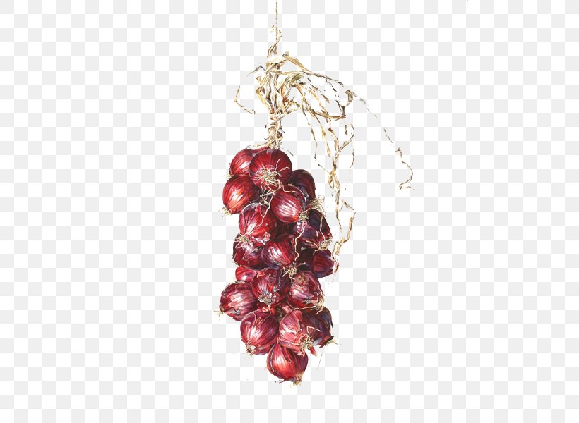 Grape Food Fruit Painting Illustration, PNG, 600x600px, Grape, Animation, Auglis, Cherry, Christmas Decoration Download Free