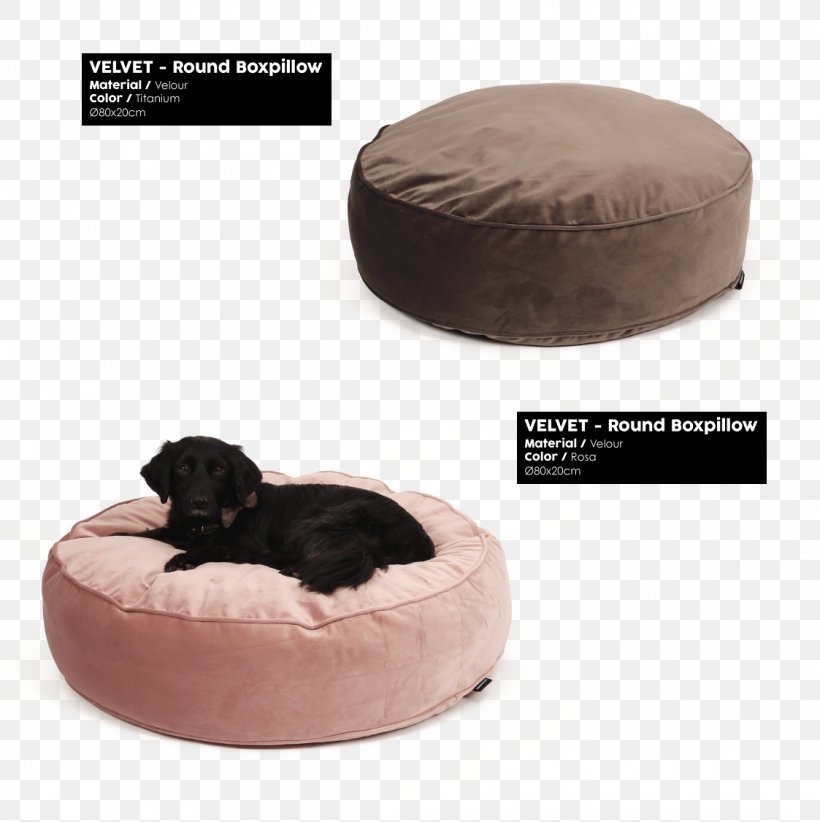 Pillow Couch Velour Memory Foam Tempur-Pedic, PNG, 1123x1126px, Pillow, Bed, Chair, Couch, Dog Bed Download Free