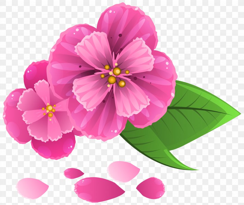 Pink Flowers Petal Clip Art, PNG, 6287x5273px, Flower, Annual Plant, Blossom, Cherry Blossom, Color Download Free