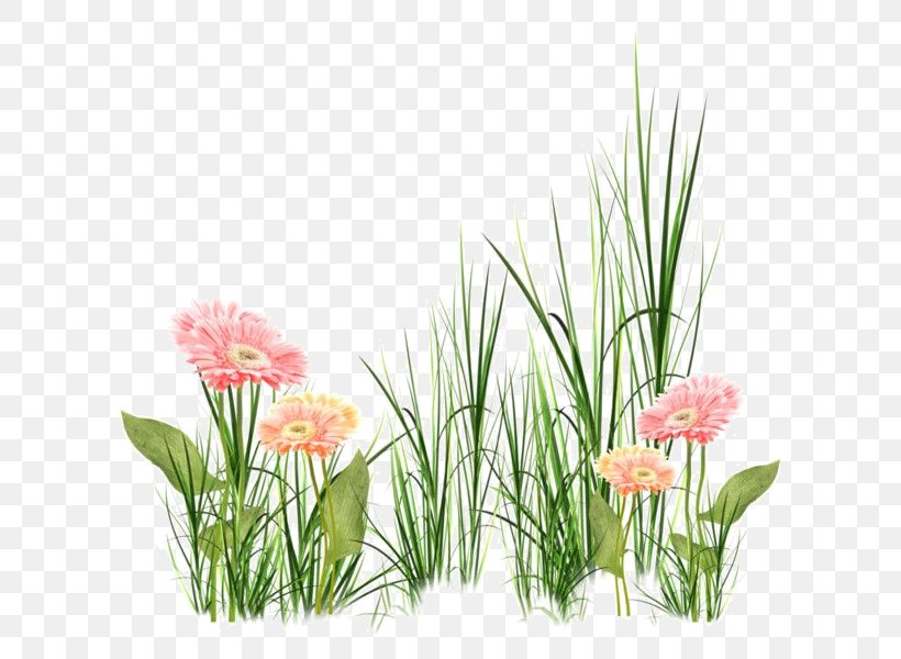 Floral Design Clip Art Grasses Flower, PNG, 600x600px, Floral Design, Digital Image, Floristry, Flower, Flower Arranging Download Free