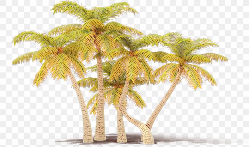 Palm Tree, PNG, 1001x595px, Cartoon, Arecales, Coconut, Elaeis, Leaf Download Free