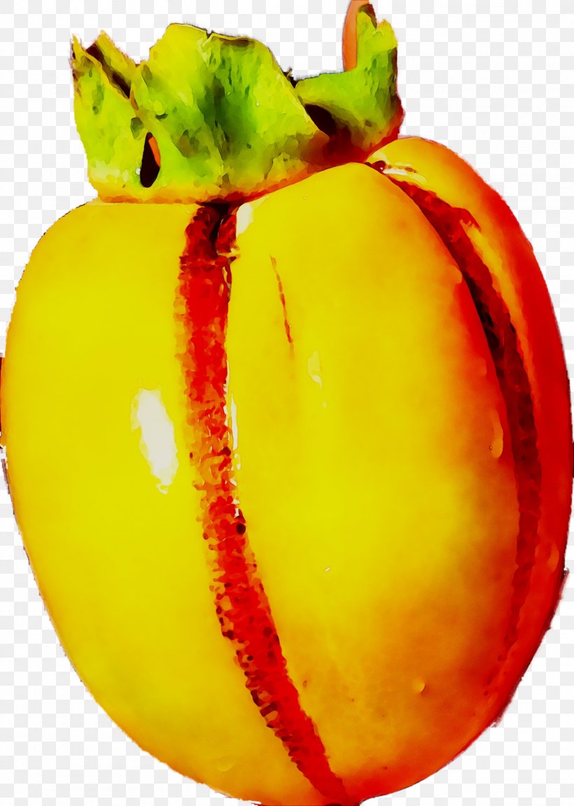 Vegetable Apple Orange S.A., PNG, 1514x2128px, Vegetable, Apple, Fruit, Orange Sa, Plant Download Free