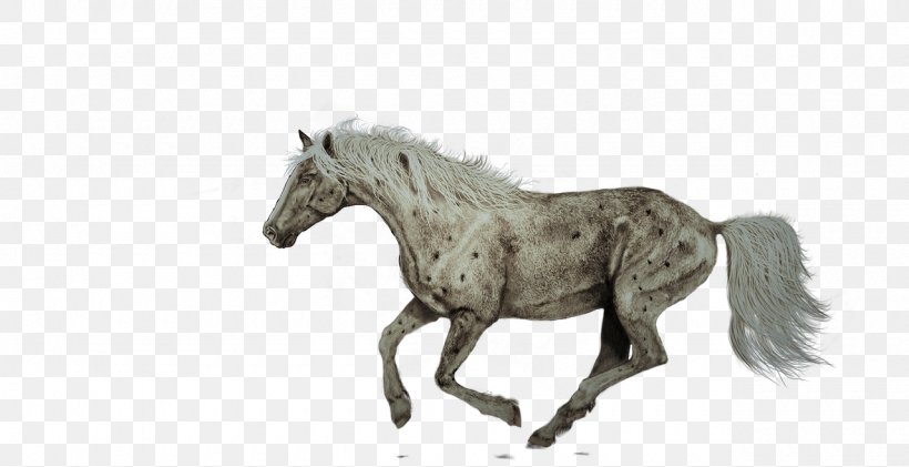 American Quarter Horse Lipizzan Shire Horse Friesian Horse Hanoverian Horse, PNG, 1280x658px, American Quarter Horse, American Paint Horse, Animal Figure, Appaloosa, Bridle Download Free