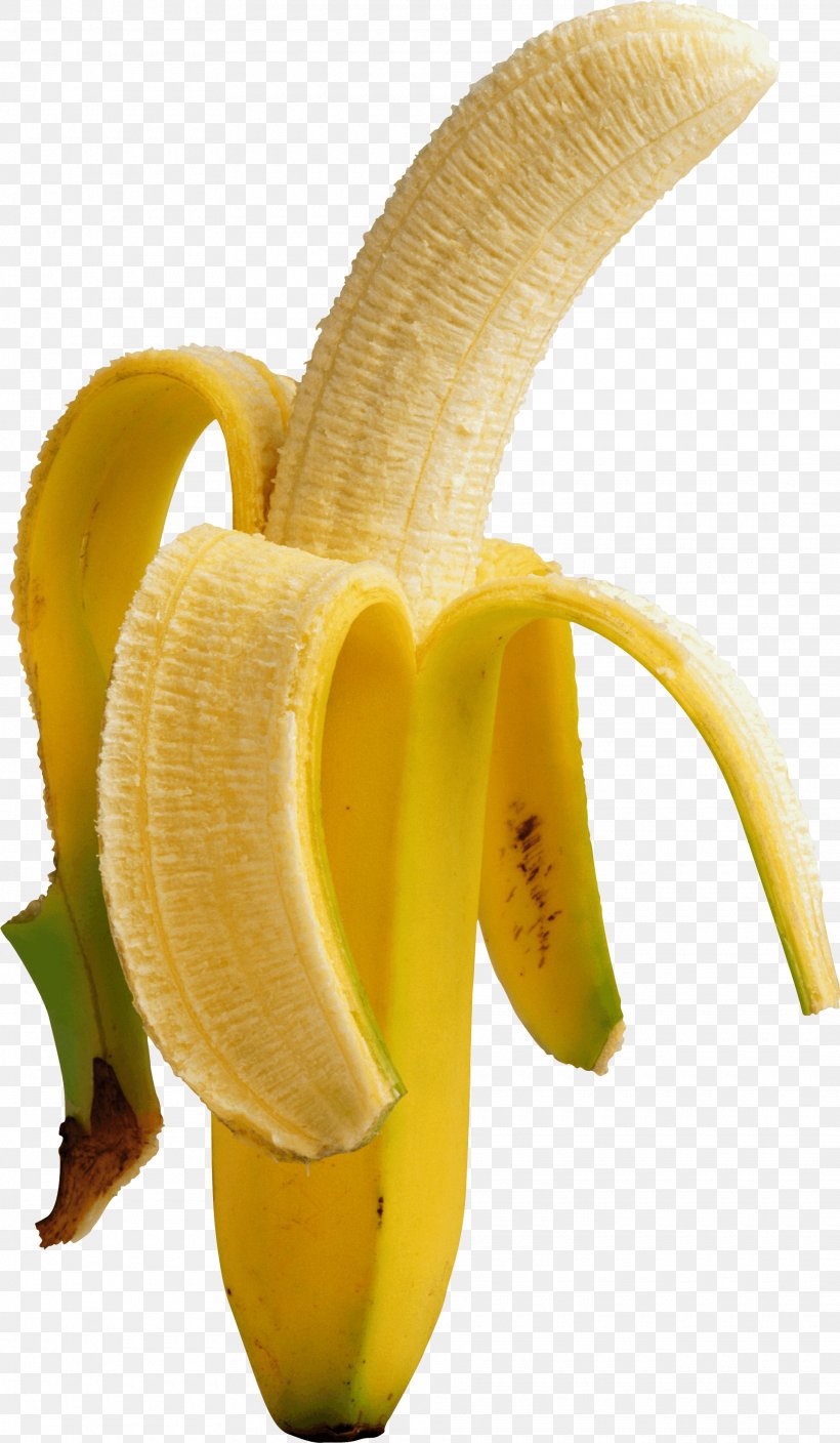 Banana Clip Art, PNG, 1920x3297px, Bananas For Breakfast, Banana, Banana Family, Berry, Cooking Banana Download Free