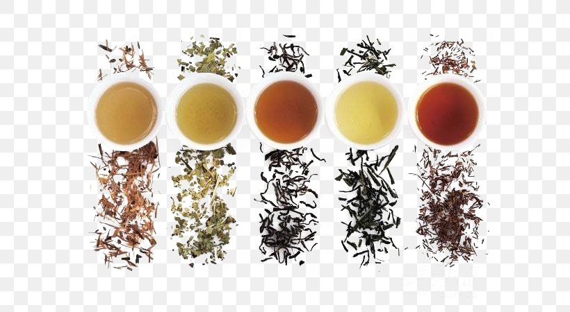 Green Tea White Tea Oolong Yum Cha, PNG, 600x450px, Tea, Assam Tea, Black Tea, Camellia Sinensis, Chinese Tea Download Free